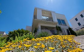Apartment Summer Dreams 2